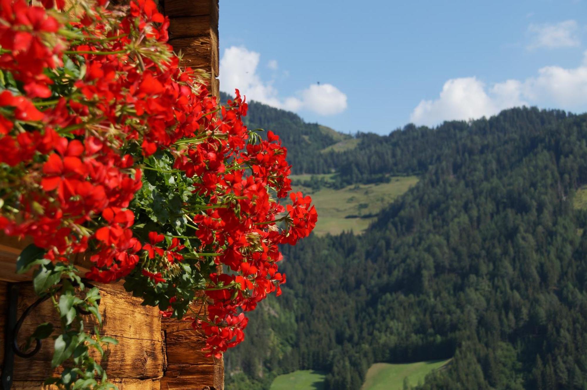 Ferienhaus "Plankschneider" Matrei in Osttirol Zewnętrze zdjęcie